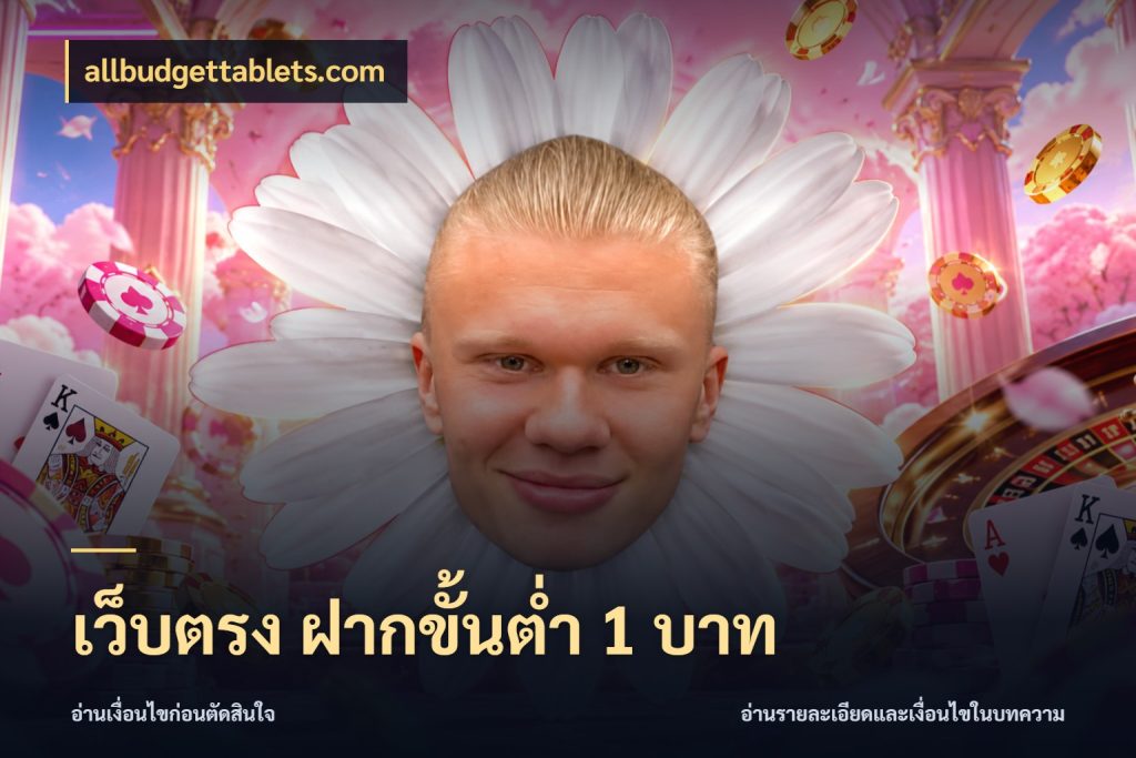 เว็บตรง ฝากขั้นต่ำ 1 บาท รู้จักจำนวนแต่ละแบบก่อนเลือกเกม ในมุม allbudgettablets.com